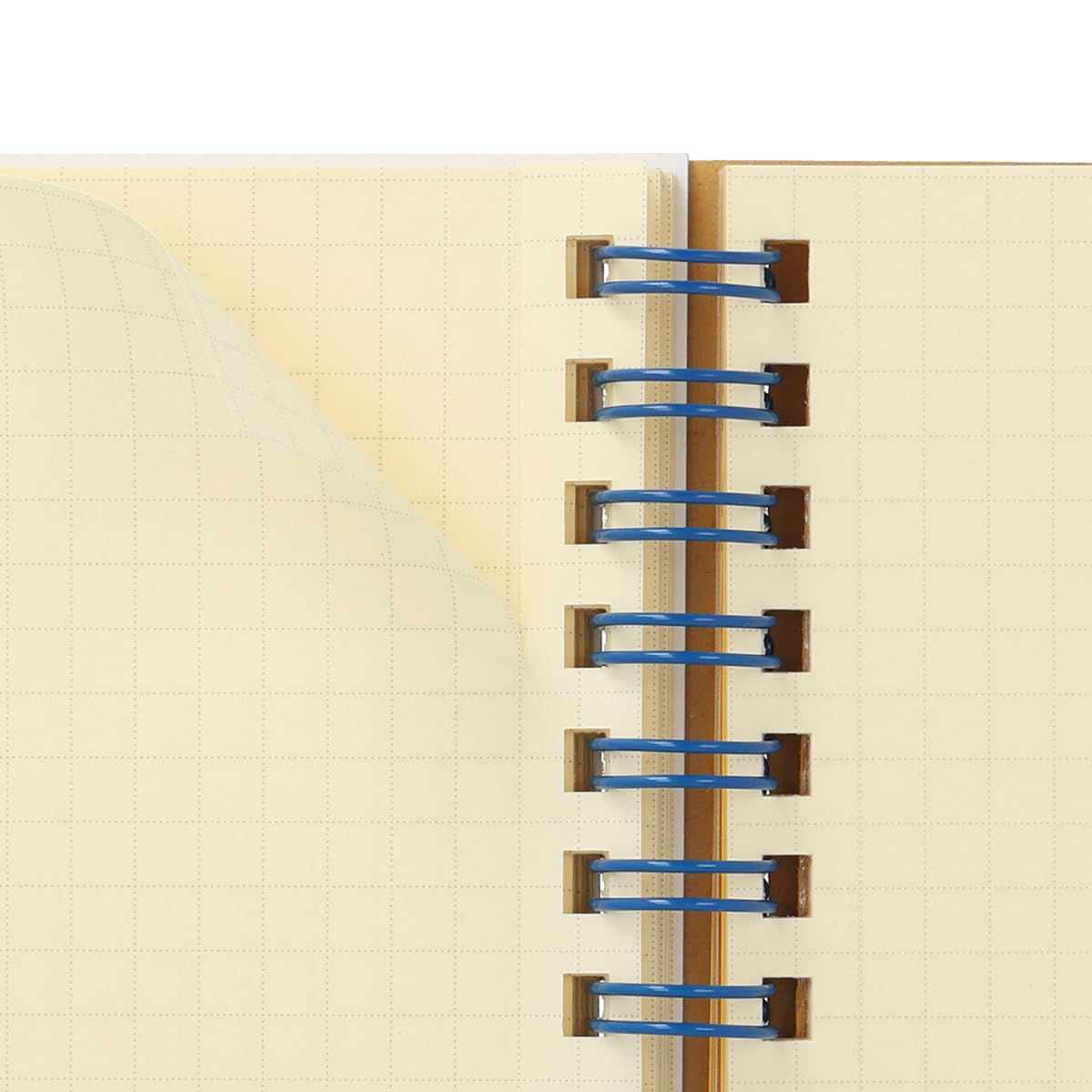 Amazon.co.jp: [デルフォニックス] ロルバーン ポケット付メモ スコラ